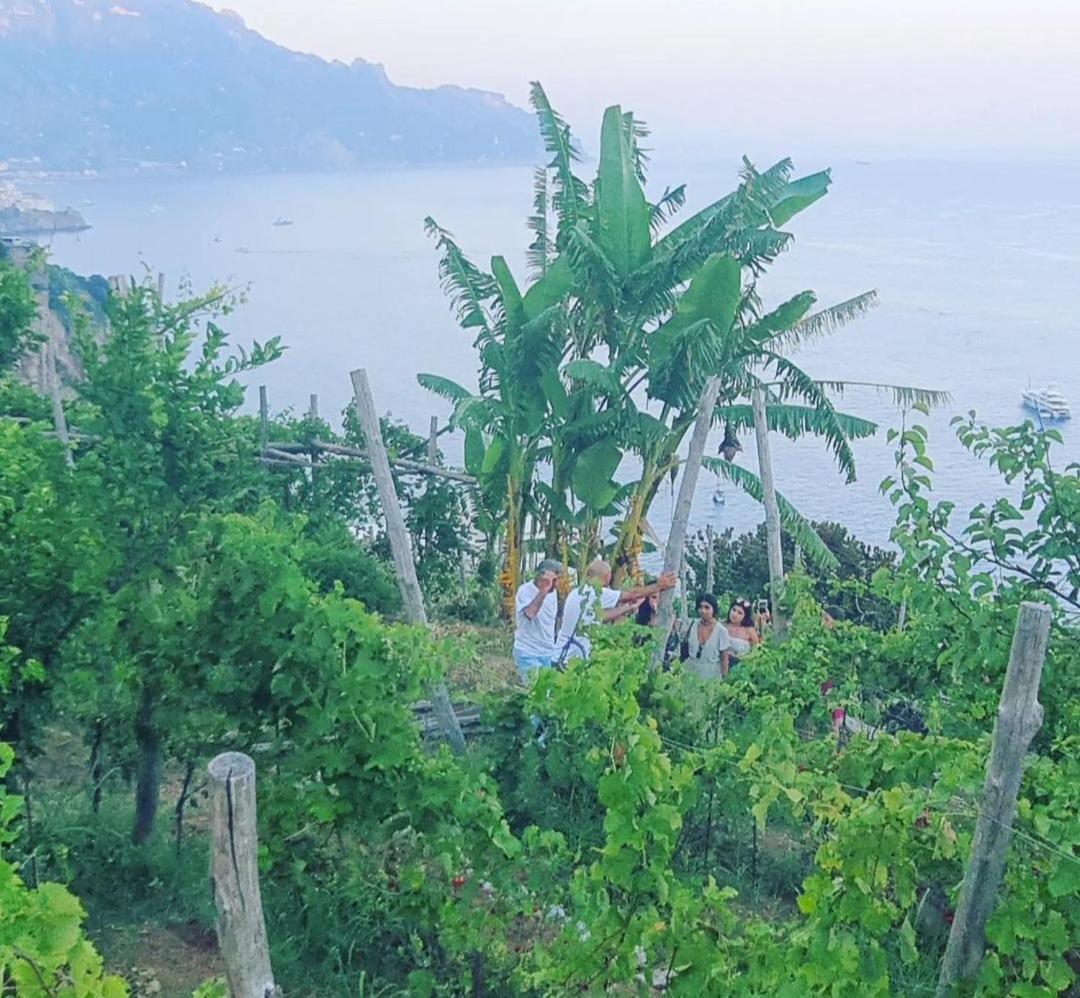 Agriturismo Fuoco D'Amalfi Villa Iazzetta 외부 사진